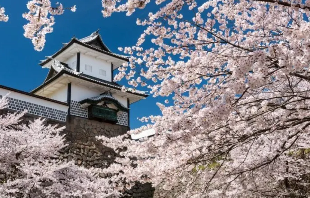 金澤城門票 金澤城門票