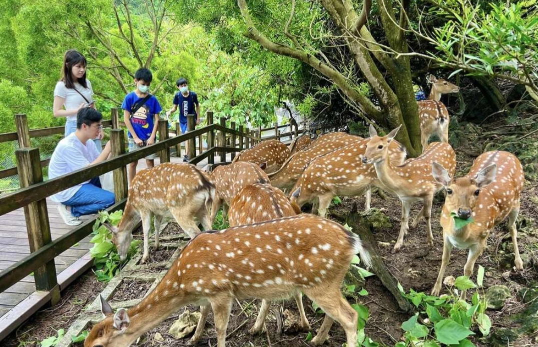 高雄動物園 交通