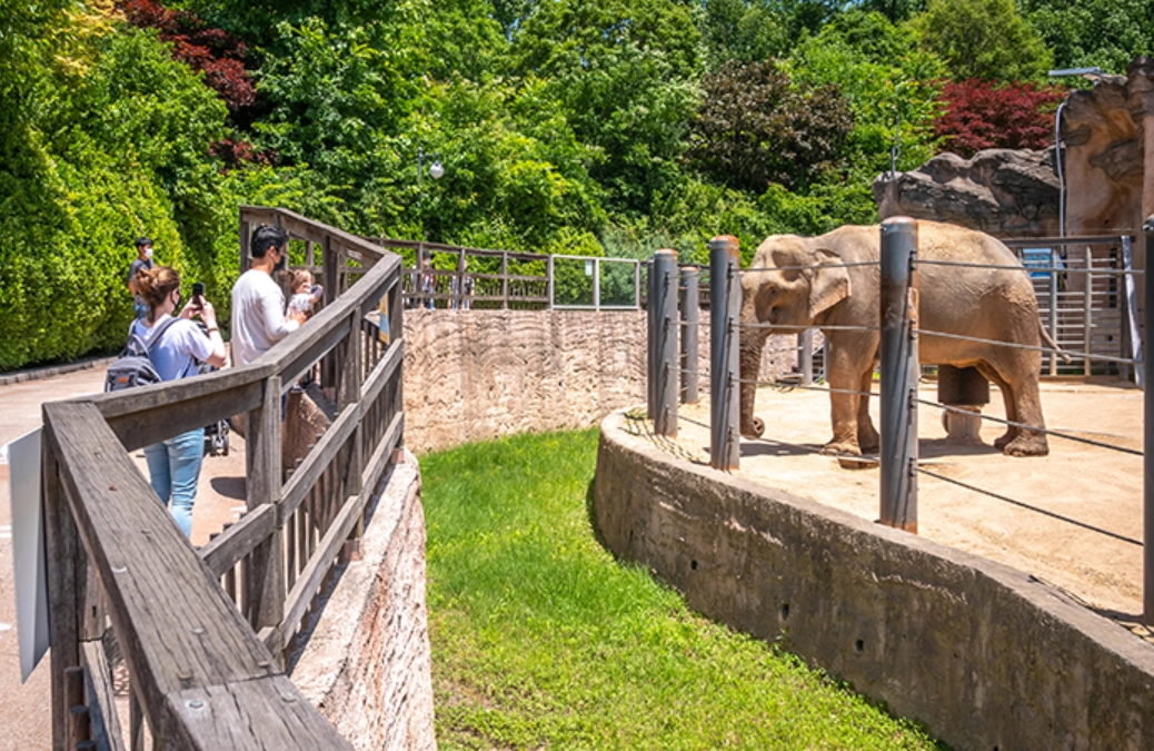 首爾景點通行證