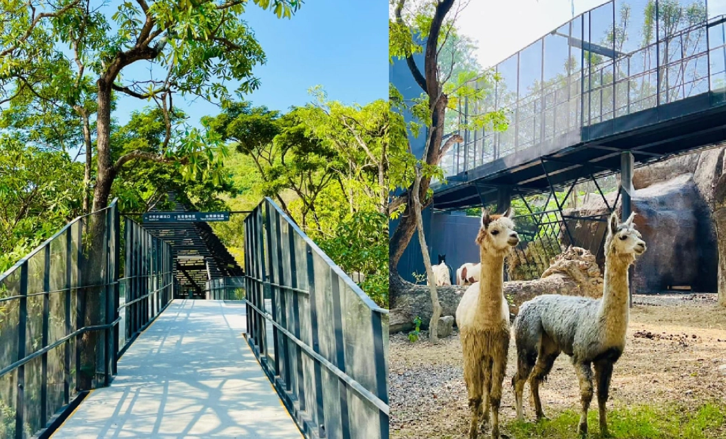 高雄動物園 交通
