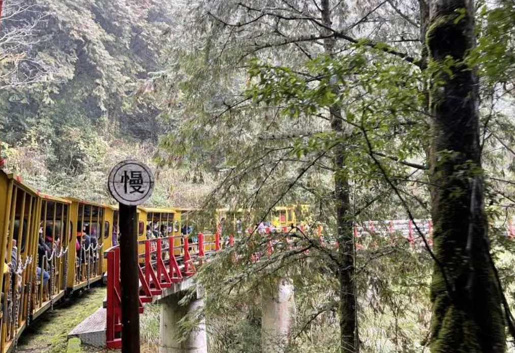 太平山一日遊 太平山一日遊