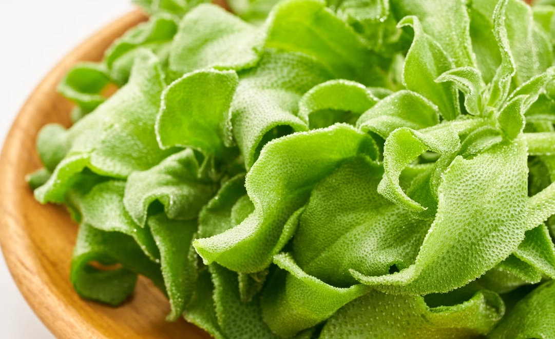 冰花種植 冰花種植