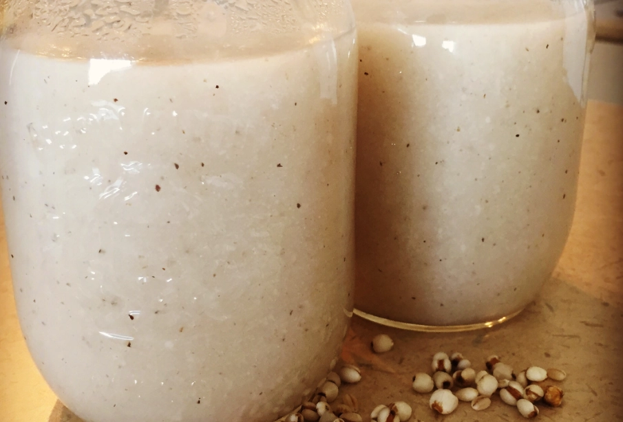 薏仁漿做法全攻略：簡單自製養生飲品，新手零失敗秘訣