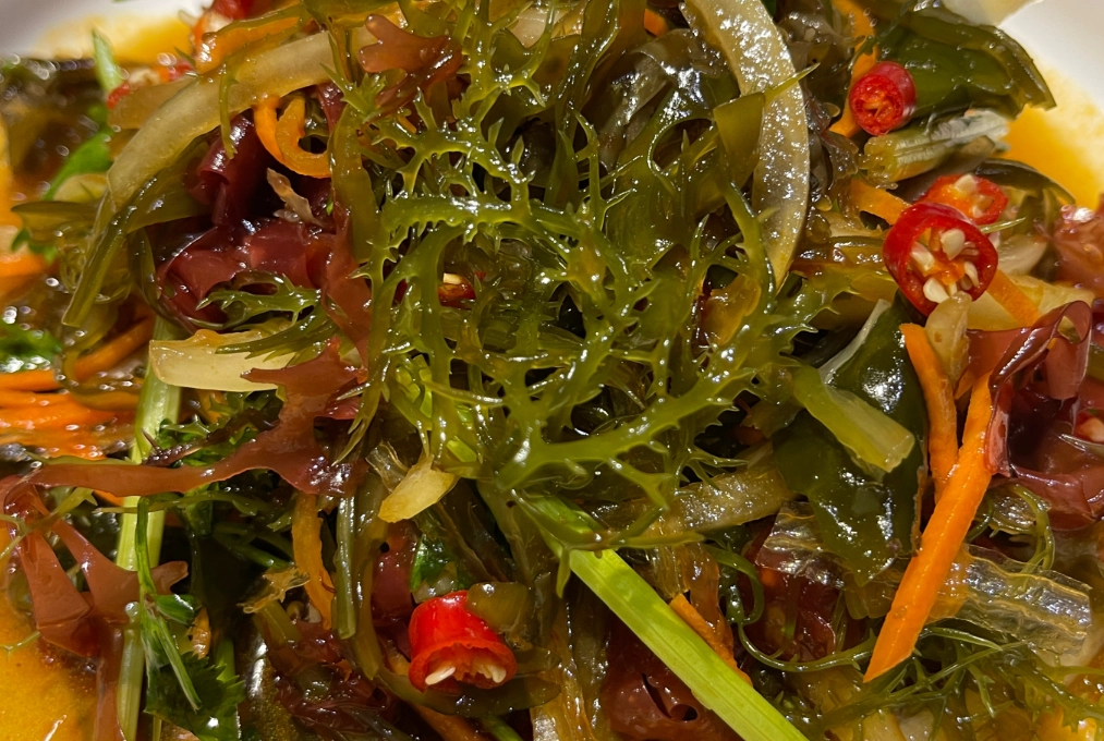 涼拌海藻絲完整指南：從選材到食譜，輕鬆做出健康開胃菜