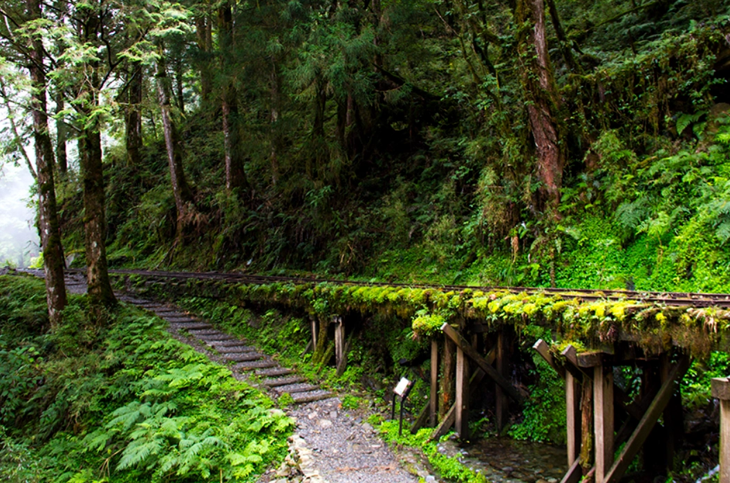 太平山旅遊季節
