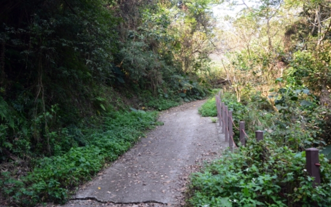 台中親子步道