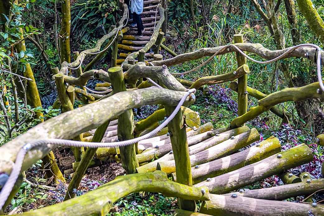 台中親子步道