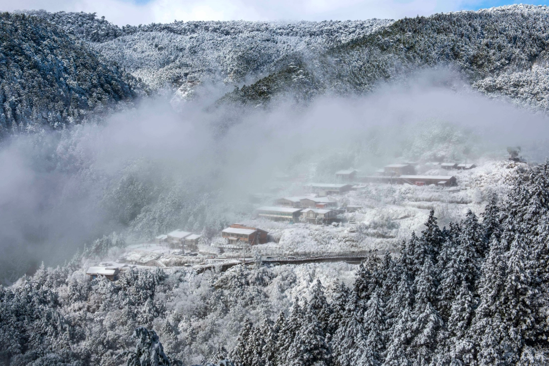 太平山賞楓時間